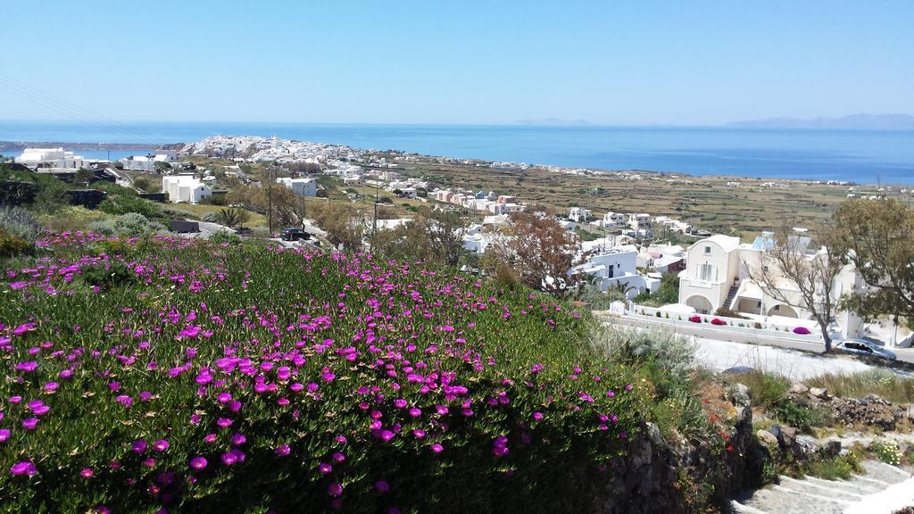 Alonistra Oia Houses Foinikia  Экстерьер фото