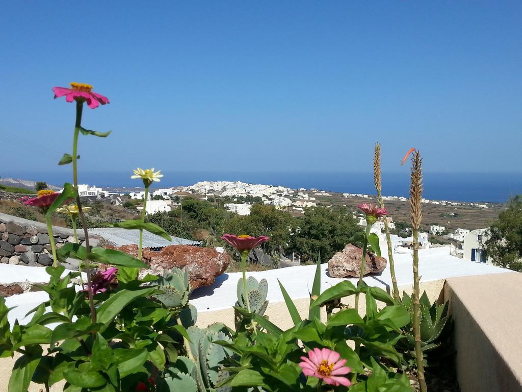 Alonistra Oia Houses Foinikia  Номер фото